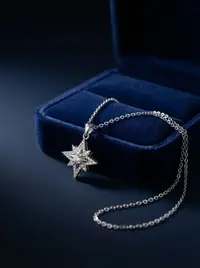 سنسال فضي  1